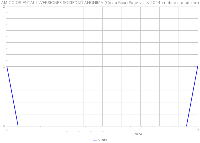 AMIGO ORIENTAL INVERSIONES SOCIEDAD ANONIMA (Costa Rica) Page visits 2024 