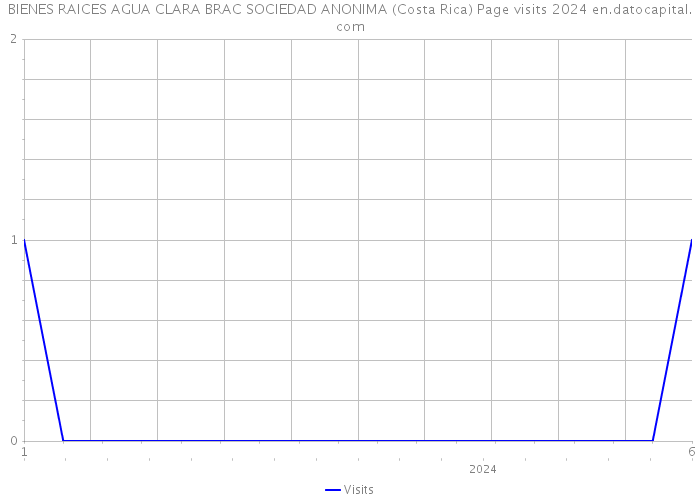 BIENES RAICES AGUA CLARA BRAC SOCIEDAD ANONIMA (Costa Rica) Page visits 2024 