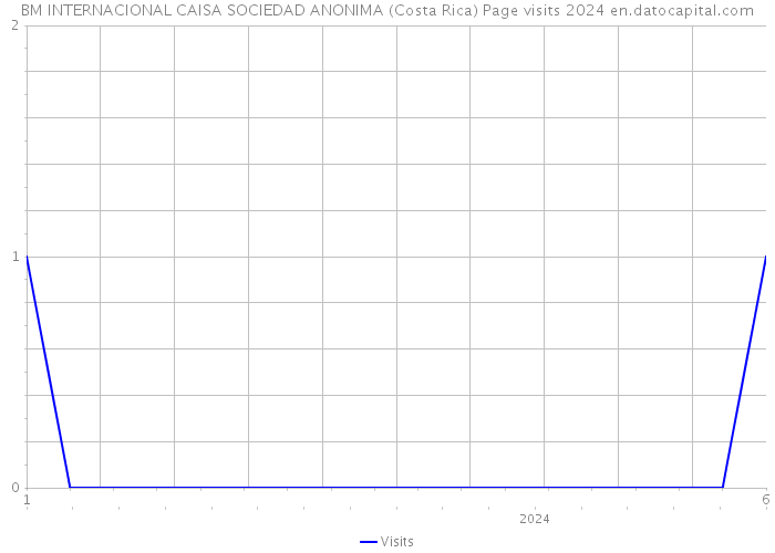 BM INTERNACIONAL CAISA SOCIEDAD ANONIMA (Costa Rica) Page visits 2024 