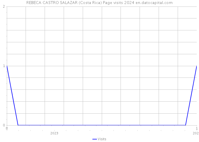 REBECA CASTRO SALAZAR (Costa Rica) Page visits 2024 