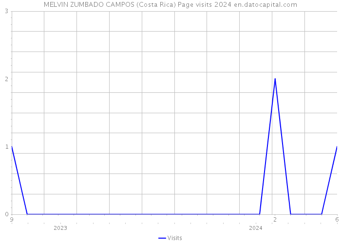 MELVIN ZUMBADO CAMPOS (Costa Rica) Page visits 2024 