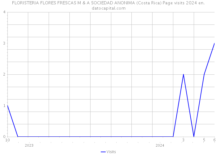FLORISTERIA FLORES FRESCAS M & A SOCIEDAD ANONIMA (Costa Rica) Page visits 2024 