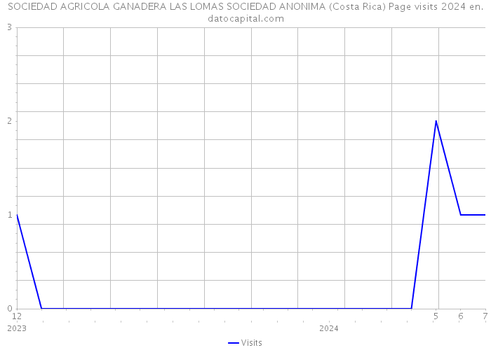 SOCIEDAD AGRICOLA GANADERA LAS LOMAS SOCIEDAD ANONIMA (Costa Rica) Page visits 2024 