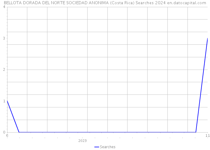 BELLOTA DORADA DEL NORTE SOCIEDAD ANONIMA (Costa Rica) Searches 2024 