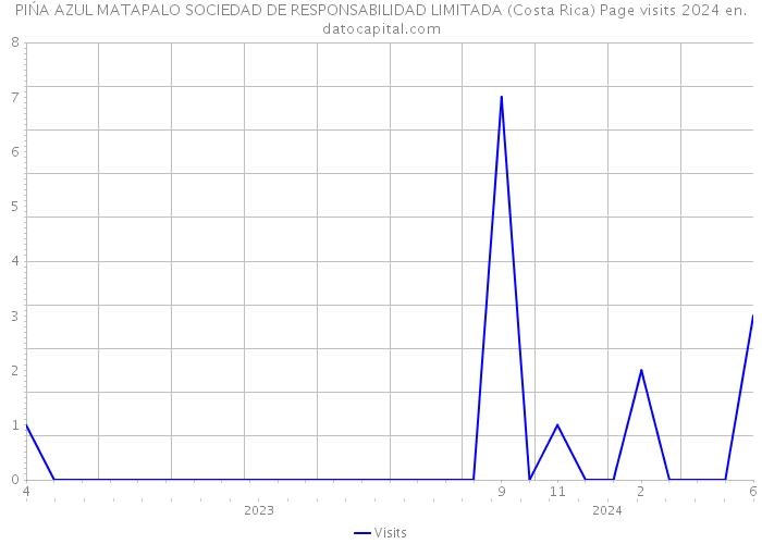 PIŃA AZUL MATAPALO SOCIEDAD DE RESPONSABILIDAD LIMITADA (Costa Rica) Page visits 2024 