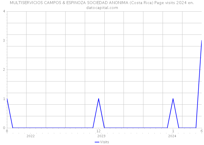 MULTISERVICIOS CAMPOS & ESPINOZA SOCIEDAD ANONIMA (Costa Rica) Page visits 2024 