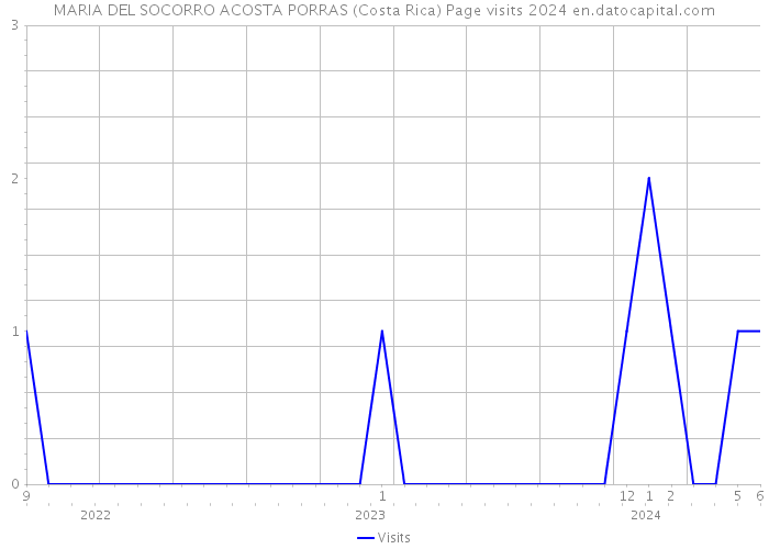 MARIA DEL SOCORRO ACOSTA PORRAS (Costa Rica) Page visits 2024 