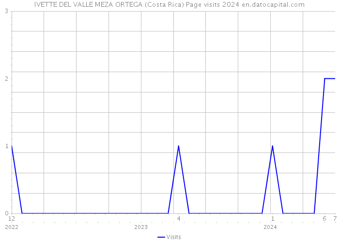 IVETTE DEL VALLE MEZA ORTEGA (Costa Rica) Page visits 2024 