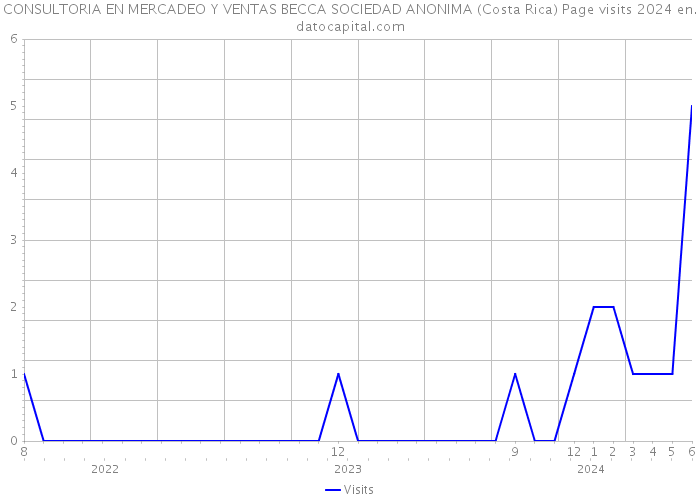 CONSULTORIA EN MERCADEO Y VENTAS BECCA SOCIEDAD ANONIMA (Costa Rica) Page visits 2024 