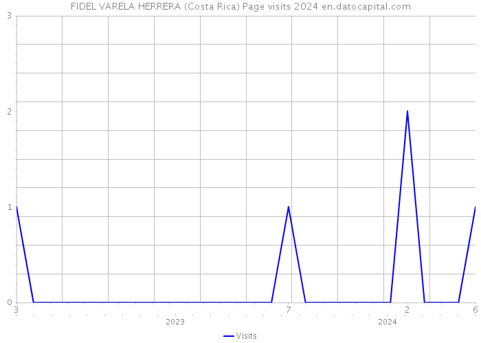 FIDEL VARELA HERRERA (Costa Rica) Page visits 2024 