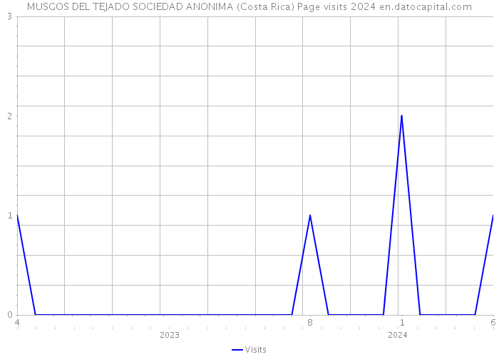 MUSGOS DEL TEJADO SOCIEDAD ANONIMA (Costa Rica) Page visits 2024 