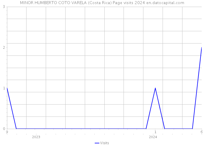 MINOR HUMBERTO COTO VARELA (Costa Rica) Page visits 2024 