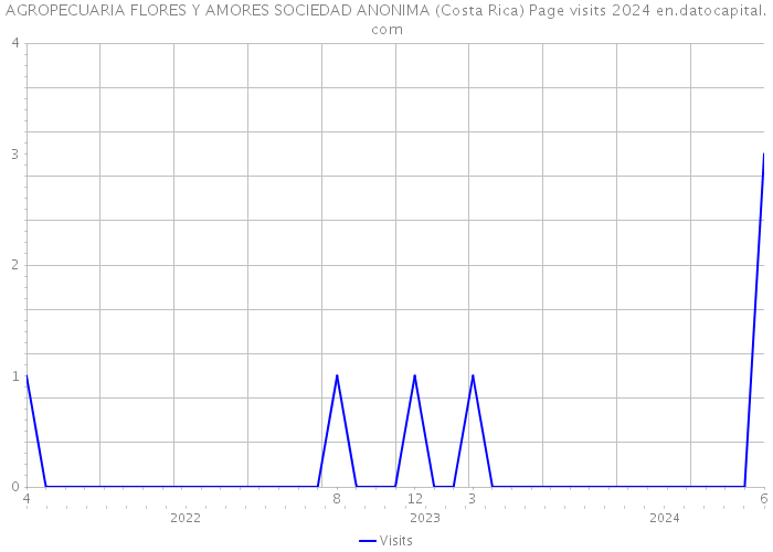 AGROPECUARIA FLORES Y AMORES SOCIEDAD ANONIMA (Costa Rica) Page visits 2024 