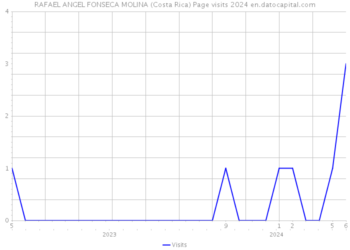 RAFAEL ANGEL FONSECA MOLINA (Costa Rica) Page visits 2024 
