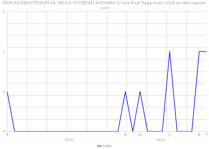 MUFLAS INDUSTRIALES LA URUCA SOCIEDAD ANONIMA (Costa Rica) Page visits 2024 