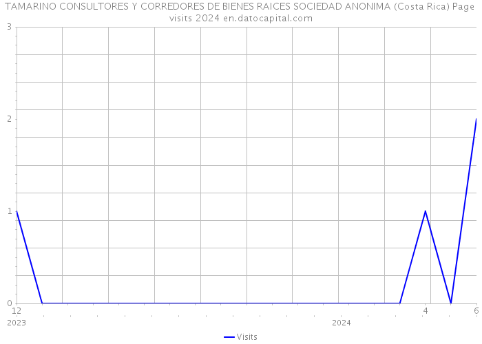 TAMARINO CONSULTORES Y CORREDORES DE BIENES RAICES SOCIEDAD ANONIMA (Costa Rica) Page visits 2024 