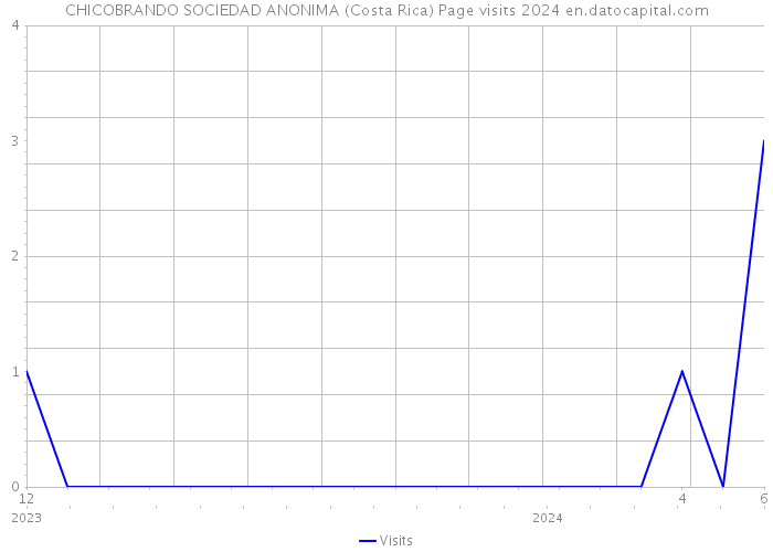 CHICOBRANDO SOCIEDAD ANONIMA (Costa Rica) Page visits 2024 