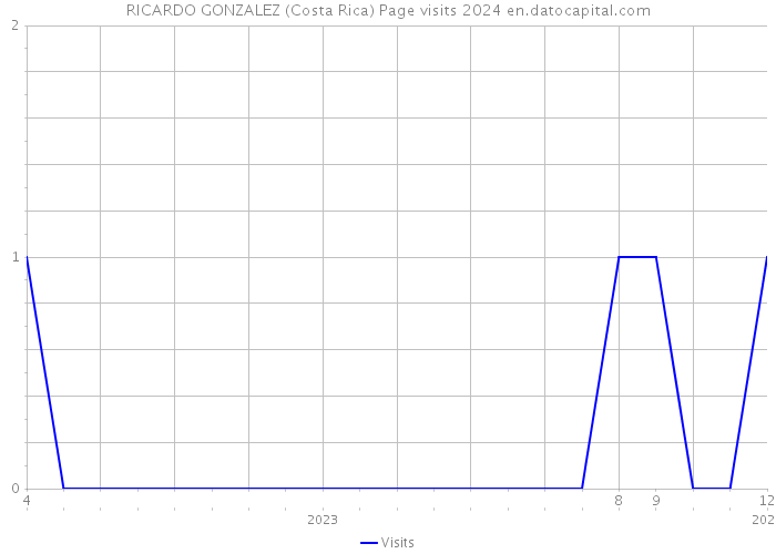 RICARDO GONZALEZ (Costa Rica) Page visits 2024 