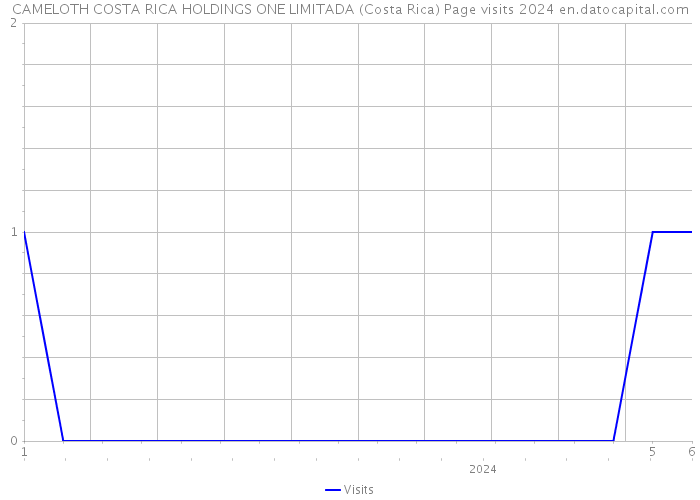 CAMELOTH COSTA RICA HOLDINGS ONE LIMITADA (Costa Rica) Page visits 2024 