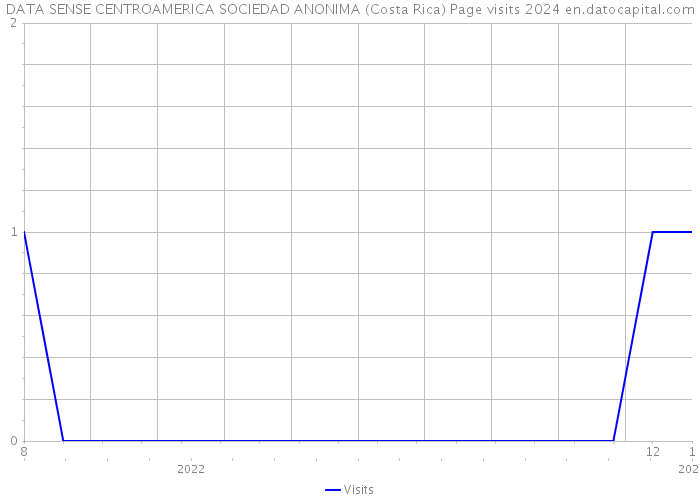 DATA SENSE CENTROAMERICA SOCIEDAD ANONIMA (Costa Rica) Page visits 2024 