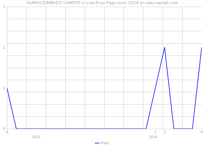 OLMAN ZUMBADO CAMPOS (Costa Rica) Page visits 2024 
