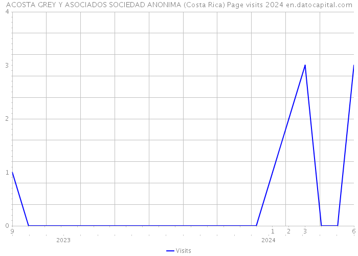 ACOSTA GREY Y ASOCIADOS SOCIEDAD ANONIMA (Costa Rica) Page visits 2024 