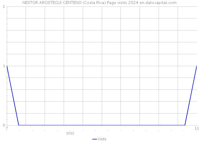 NESTOR AROSTEGUI CENTENO (Costa Rica) Page visits 2024 