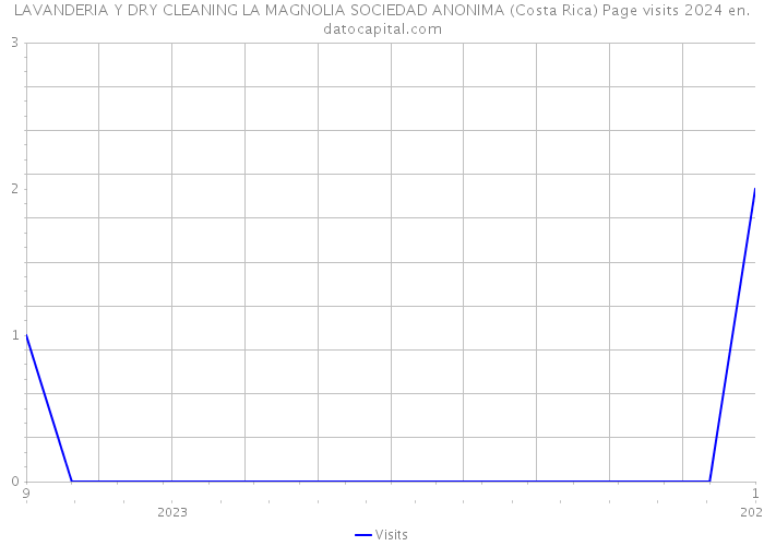 LAVANDERIA Y DRY CLEANING LA MAGNOLIA SOCIEDAD ANONIMA (Costa Rica) Page visits 2024 