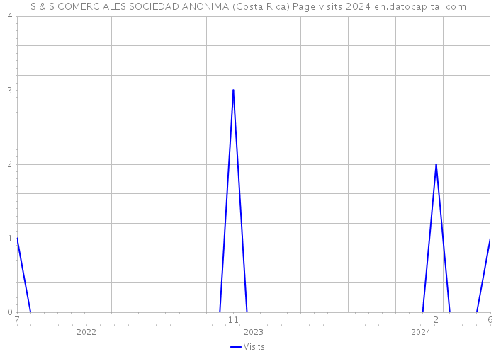 S & S COMERCIALES SOCIEDAD ANONIMA (Costa Rica) Page visits 2024 