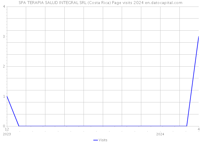 SPA TERAPIA SALUD INTEGRAL SRL (Costa Rica) Page visits 2024 