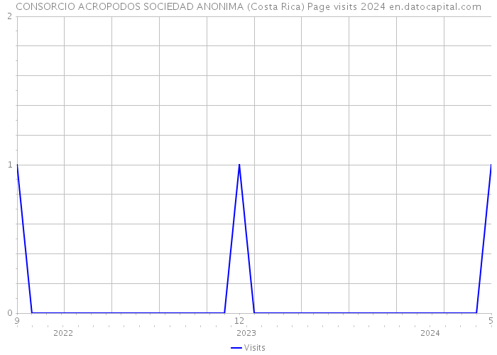 CONSORCIO ACROPODOS SOCIEDAD ANONIMA (Costa Rica) Page visits 2024 