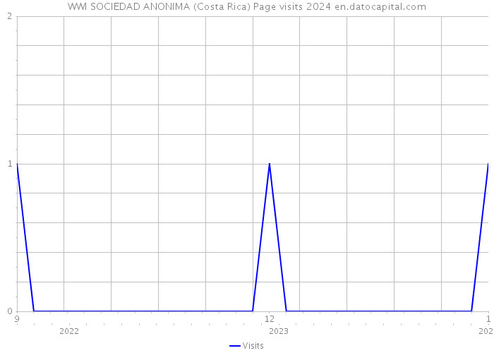 WWI SOCIEDAD ANONIMA (Costa Rica) Page visits 2024 