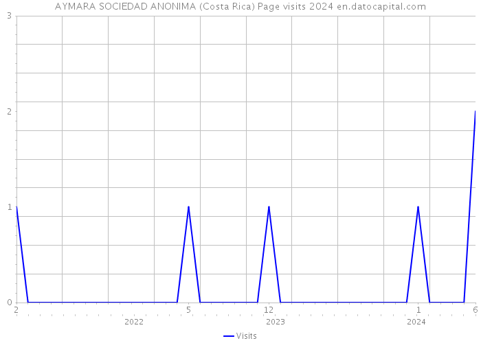 AYMARA SOCIEDAD ANONIMA (Costa Rica) Page visits 2024 