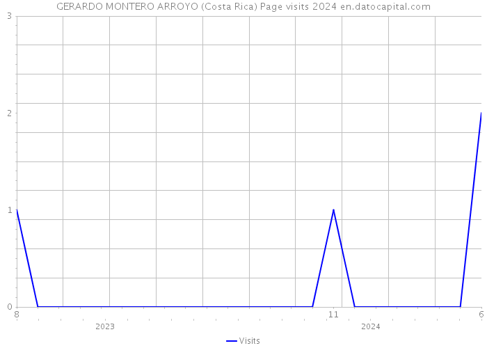 GERARDO MONTERO ARROYO (Costa Rica) Page visits 2024 