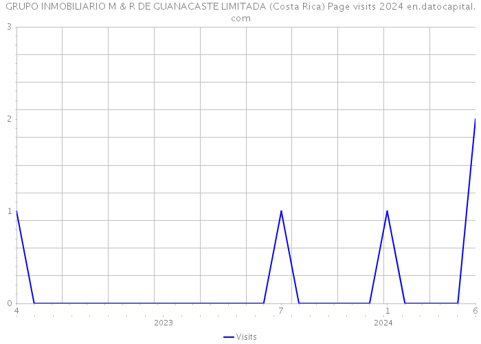GRUPO INMOBILIARIO M & R DE GUANACASTE LIMITADA (Costa Rica) Page visits 2024 