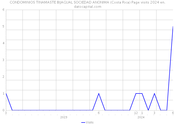 CONDOMINIOS TINAMASTE BIJAGUAL SOCIEDAD ANONIMA (Costa Rica) Page visits 2024 