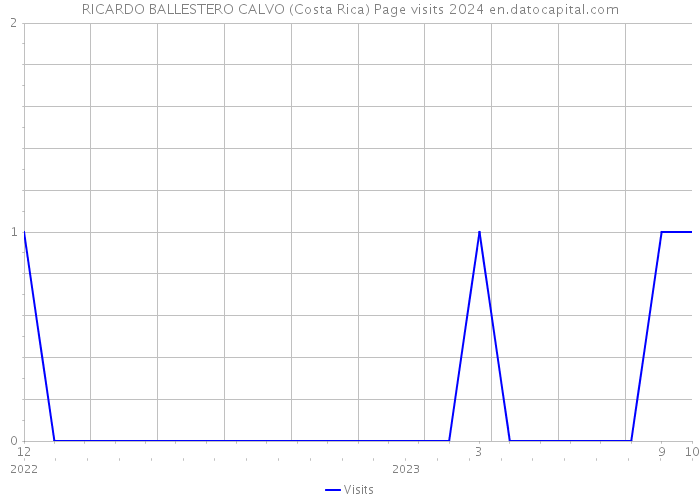 RICARDO BALLESTERO CALVO (Costa Rica) Page visits 2024 