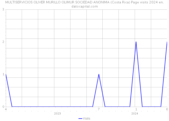 MULTISERVICIOS OLIVER MURILLO OLIMUR SOCIEDAD ANONIMA (Costa Rica) Page visits 2024 