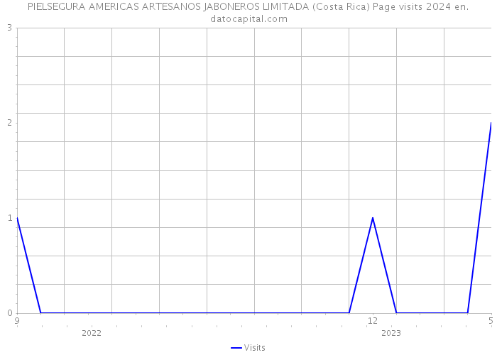 PIELSEGURA AMERICAS ARTESANOS JABONEROS LIMITADA (Costa Rica) Page visits 2024 