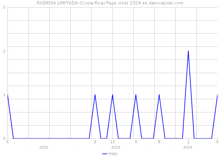 RODRISA LIMITADA (Costa Rica) Page visits 2024 
