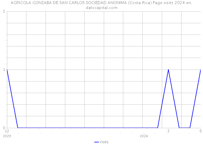 AGRICOLA GONZABA DE SAN CARLOS SOCIEDAD ANONIMA (Costa Rica) Page visits 2024 