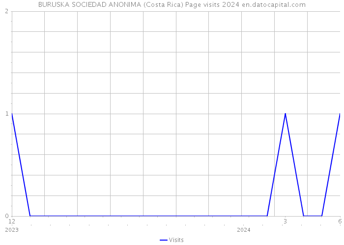 BURUSKA SOCIEDAD ANONIMA (Costa Rica) Page visits 2024 