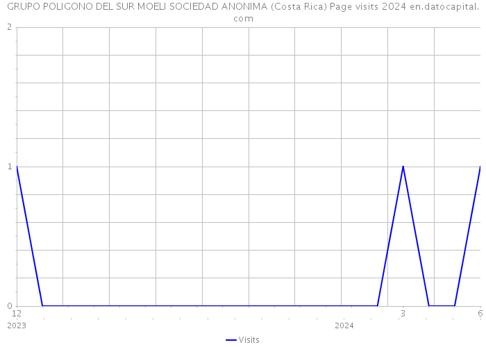 GRUPO POLIGONO DEL SUR MOELI SOCIEDAD ANONIMA (Costa Rica) Page visits 2024 