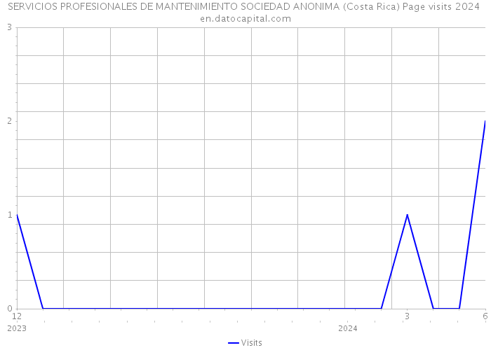 SERVICIOS PROFESIONALES DE MANTENIMIENTO SOCIEDAD ANONIMA (Costa Rica) Page visits 2024 