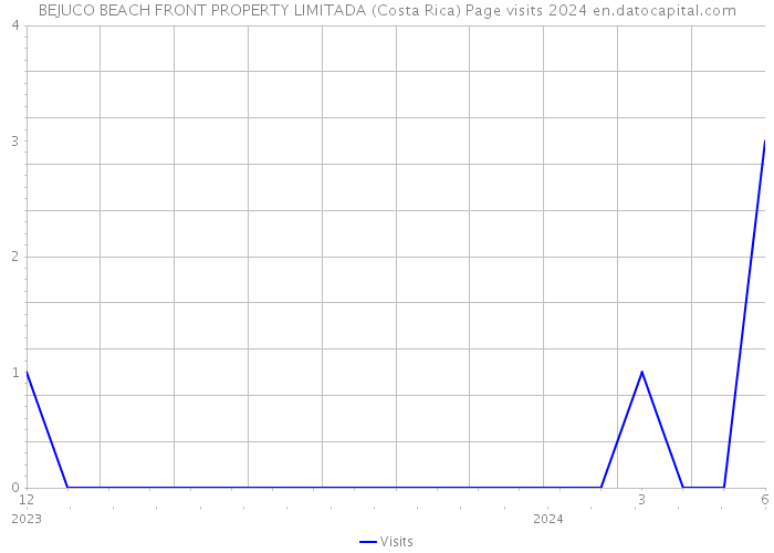 BEJUCO BEACH FRONT PROPERTY LIMITADA (Costa Rica) Page visits 2024 