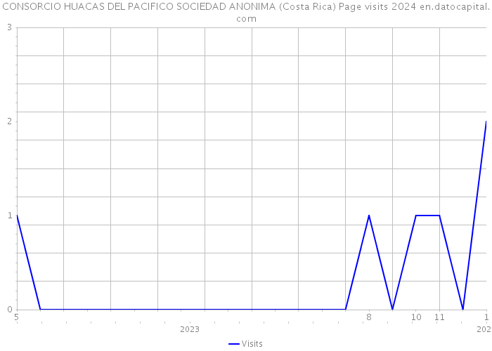 CONSORCIO HUACAS DEL PACIFICO SOCIEDAD ANONIMA (Costa Rica) Page visits 2024 
