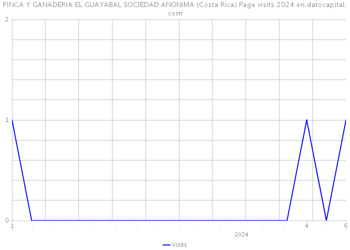 FINCA Y GANADERIA EL GUAYABAL SOCIEDAD ANONIMA (Costa Rica) Page visits 2024 