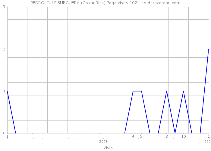 PEDROLOUIS BURGUERA (Costa Rica) Page visits 2024 