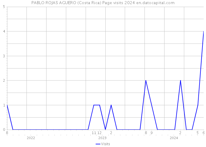 PABLO ROJAS AGUERO (Costa Rica) Page visits 2024 