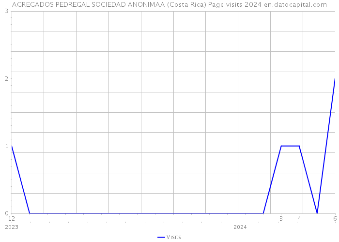 AGREGADOS PEDREGAL SOCIEDAD ANONIMAA (Costa Rica) Page visits 2024 